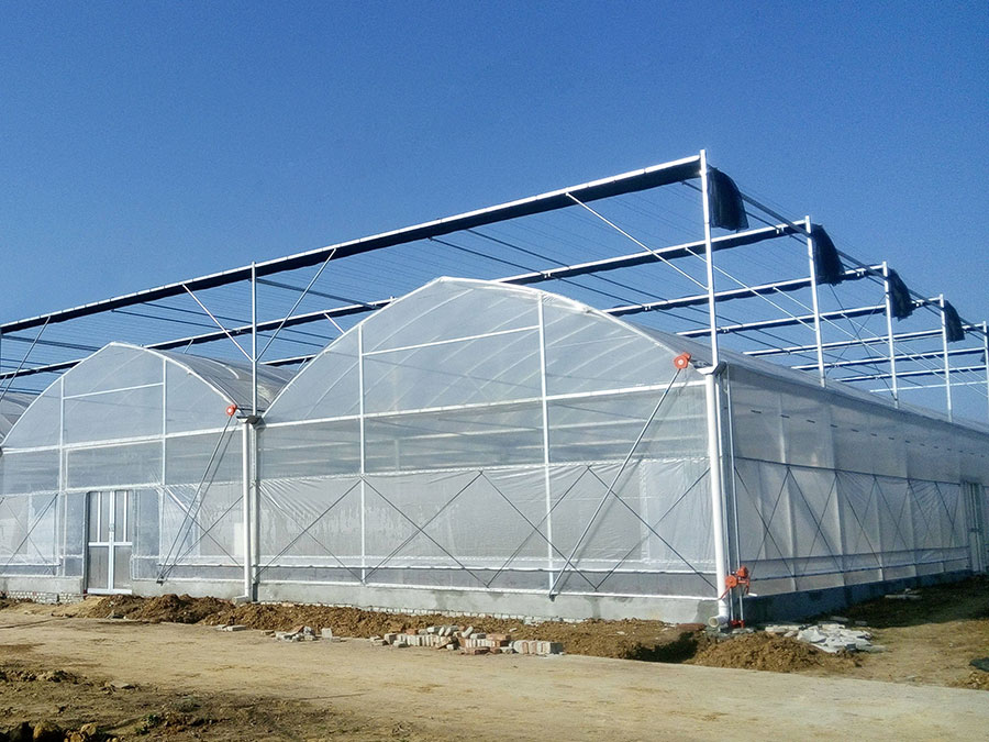 連棟薄膜溫室
